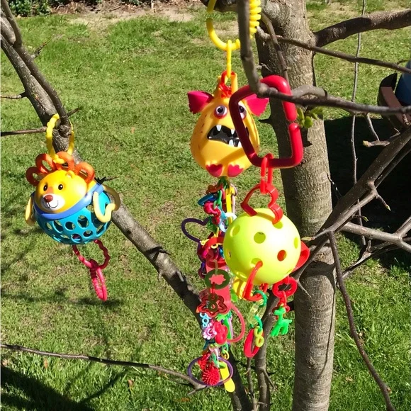 Lot Small Pet Hanging Enrichment Sugar Glider Toys Extra Hanging Clips - Picture 12 of 12